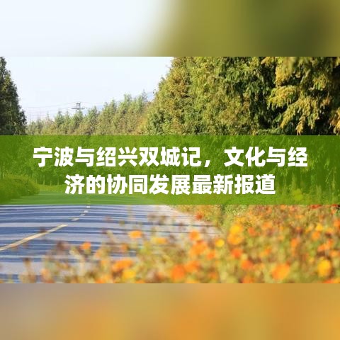 宁波与绍兴双城记，文化与经济的协同发展最新报道