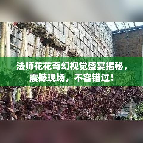 法师花花奇幻视觉盛宴揭秘，震撼现场，不容错过！