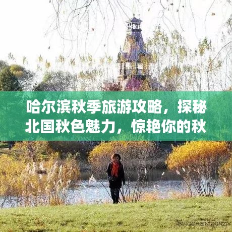 哈尔滨秋季旅游攻略，探秘北国秋色魅力，惊艳你的秋日之旅！