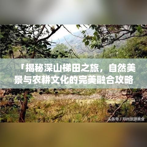 「揭秘深山梯田之旅，自然美景与农耕文化的完美融合攻略」