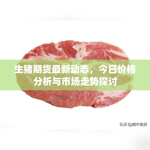生猪期货最新动态，今日价格分析与市场走势探讨