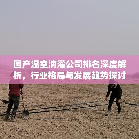 国产温室滴灌公司排名深度解析，行业格局与发展趋势探讨