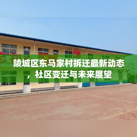 陵城区东马家村拆迁最新动态，社区变迁与未来展望