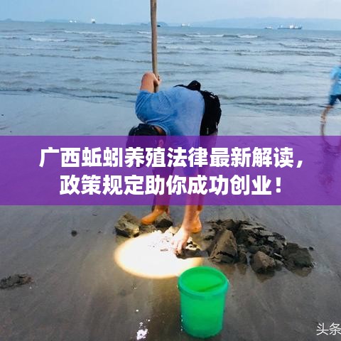 广西蚯蚓养殖法律最新解读，政策规定助你成功创业！