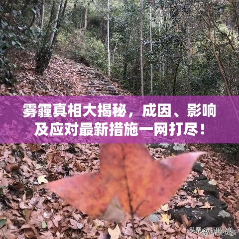 雾霾真相大揭秘，成因、影响及应对最新措施一网打尽！
