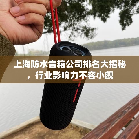 上海防水音箱公司排名大揭秘，行业影响力不容小觑