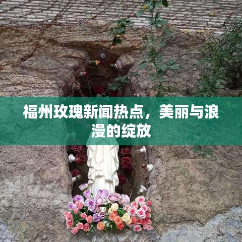 福州玫瑰新闻热点，美丽与浪漫的绽放