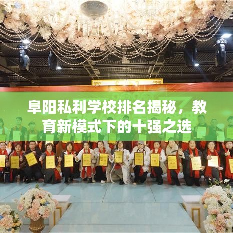 阜阳私利学校排名揭秘，教育新模式下的十强之选