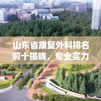 山东省康复外科排名前十揭晓，专业实力与医疗质量共鉴证奇迹诞生地
