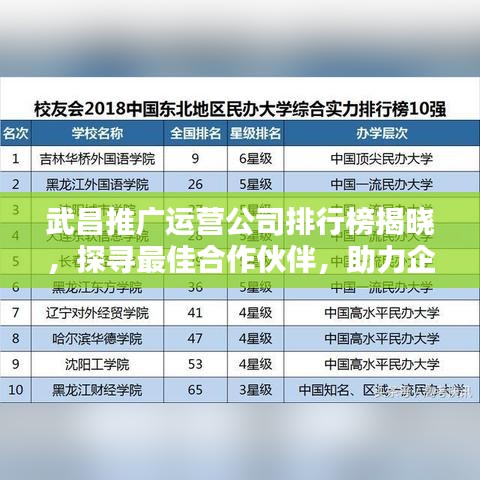 武昌推广运营公司排行榜揭晓，探寻最佳合作伙伴，助力企业腾飞！