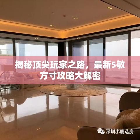 揭秘顶尖玩家之路，最新5敏方寸攻略大解密