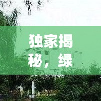 独家揭秘，绿化公司市值排名榜，行业巨头发展轨迹与未来趋势展望
