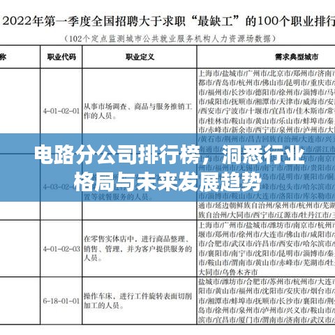 电路分公司排行榜，洞悉行业格局与未来发展趋势