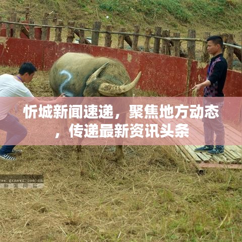 忻城新闻速递，聚焦地方动态，传递最新资讯头条