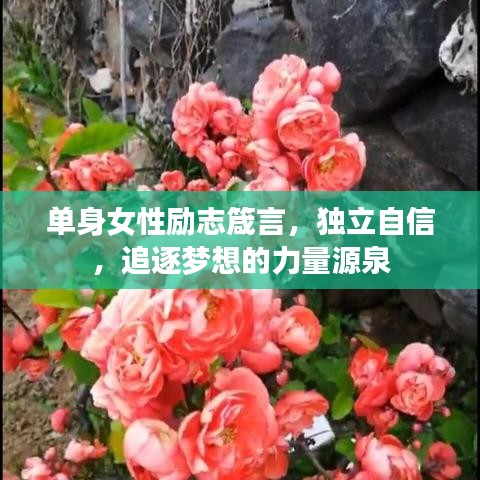 单身女性励志箴言，独立自信，追逐梦想的力量源泉