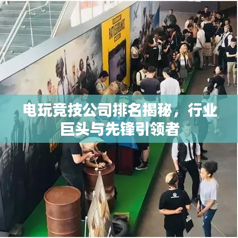 电玩竞技公司排名揭秘，行业巨头与先锋引领者