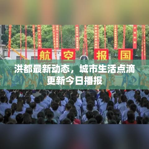 洪都最新动态，城市生活点滴更新今日播报