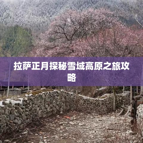 拉萨正月探秘雪域高原之旅攻略