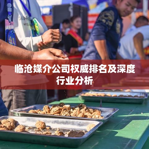 临沧媒介公司权威排名及深度行业分析