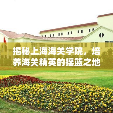 揭秘上海海关学院，培养海关精英的摇篮之地